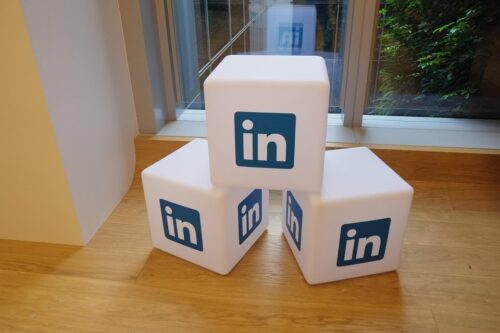 professional + branding