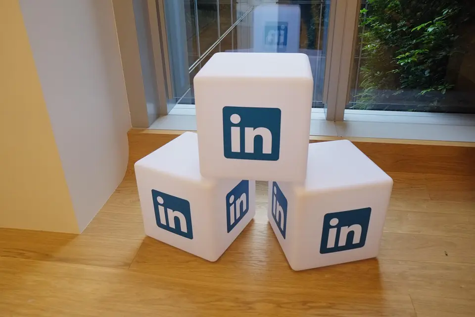 professional + branding